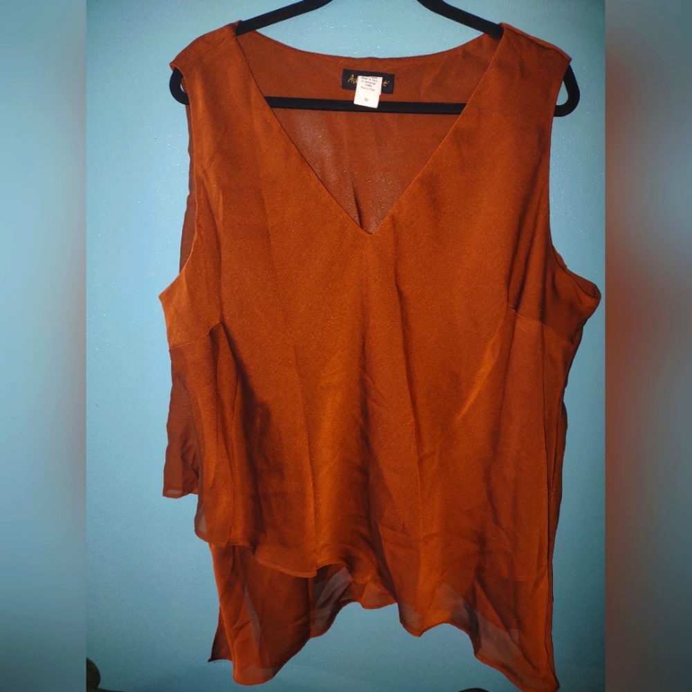 Women's Sheer Blouse